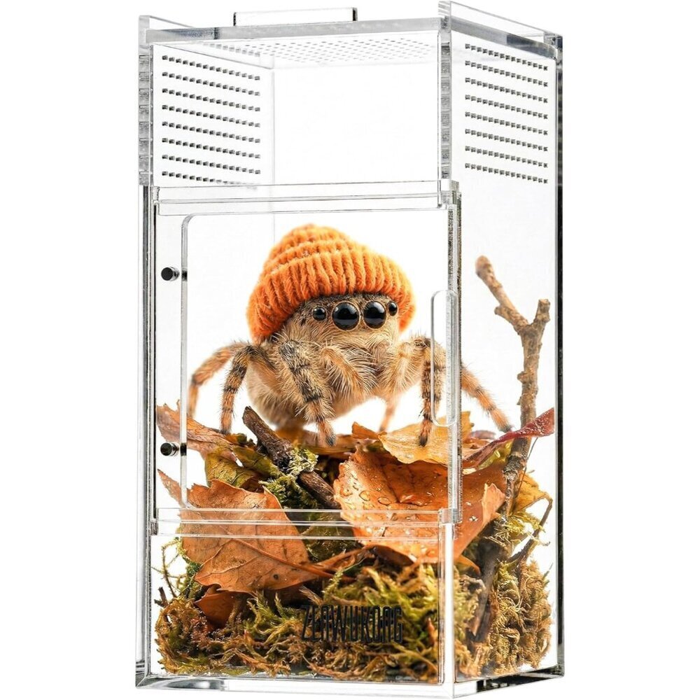 Acrylic Spider Terrarium 3x3x6 Jumping Spider Habitat